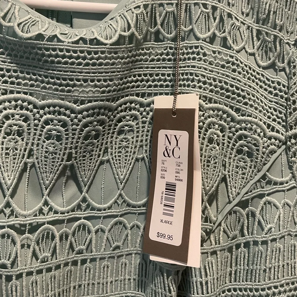Elegant Lace Dress in Mint Green - Picture 2 of 4